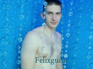 Felixgunn