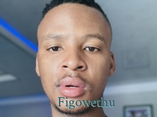 Figowethu