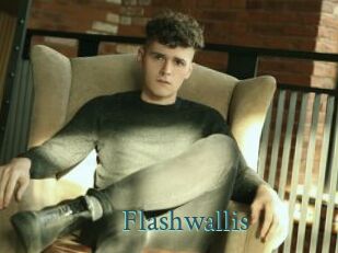 Flashwallis