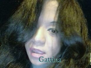 Gattina