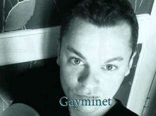 Gayminet