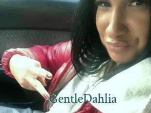 GentleDahlia