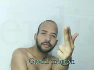 Gavril_morton