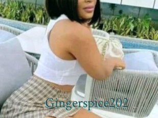 Gingerspice202