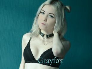 Grayfox