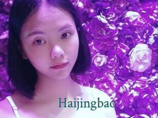 Haijingbao