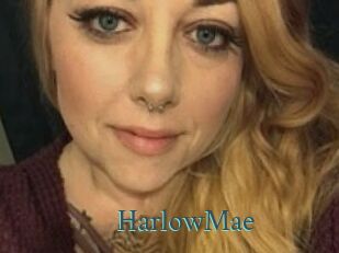 HarlowMae