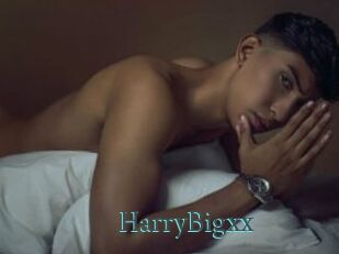HarryBigxx