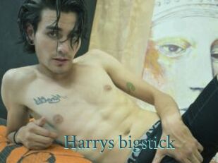 Harrys_bigstick