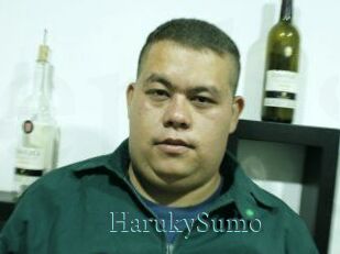 Haruky_Sumo