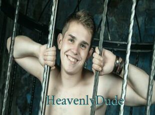 HeavenlyDude