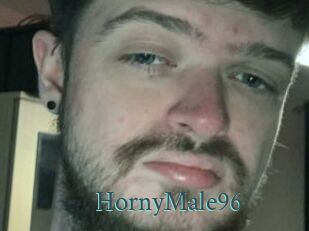 HornyMale96
