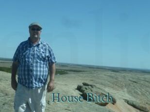House_Bitch