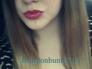 Houstonbunny713