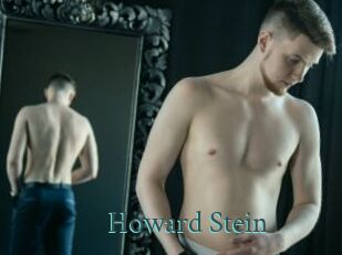 Howard_Stein