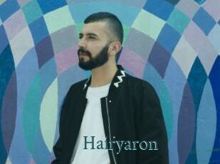 Hairyaron