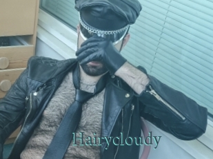 Hairycloudy