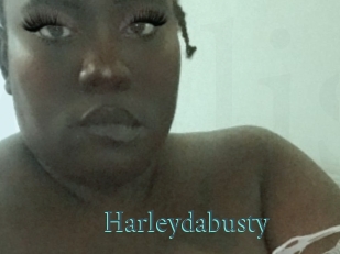 Harleydabusty