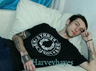Harveyhayes