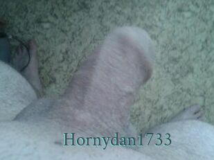 Hornydan1733