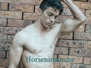 Horsenineinche