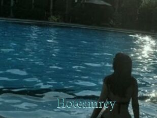 Hotcamrey