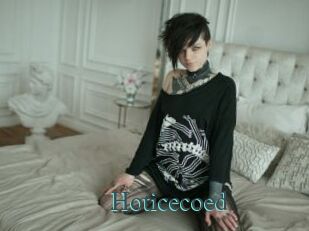 Hoticecoed