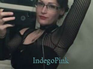 IndegoPink En live show