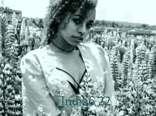 Indigo_22