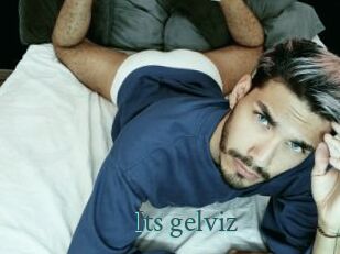 Its_gelviz