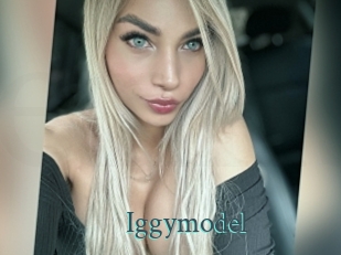 Iggymodel