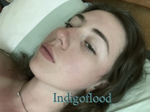 Indigoflood