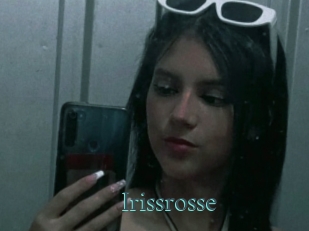 Irissrosse