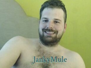 JankyMule En live show