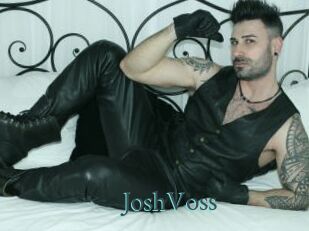 JoshVoss En live show