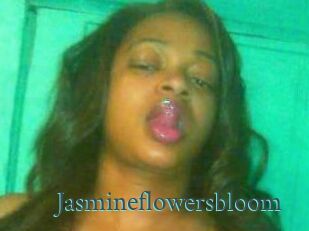 Jasmineflowersbloom