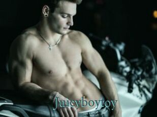 Juicyboytoy