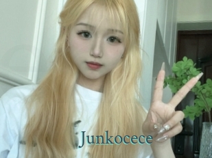 Junkocece