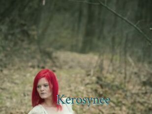 Kerosynee