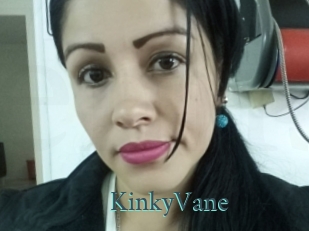KinkyVane