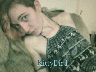 KittyBird