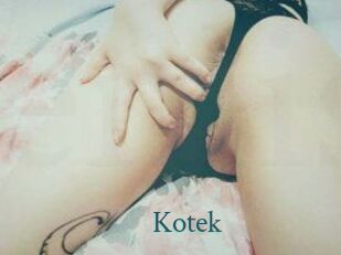 Kotek