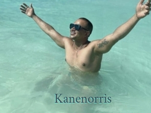 kanenorris En live show