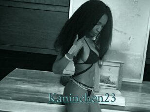 Kaninchen23