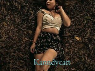 Kanndycatt