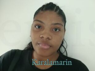 Karalamarin