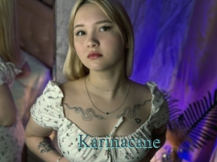 Karinacane