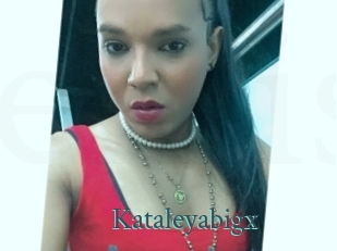 Kataleyabigx