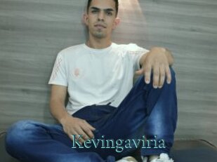 Kevingaviria