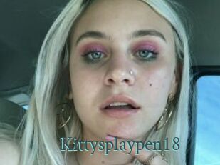 Kittysplaypen18